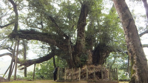 ��¿���������ܰ�Υ�����������