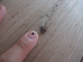 ����ߥ��쥯����󥰥졼�ɡ���