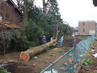 ½ÐÄ¥¤Ë¤Æ£´