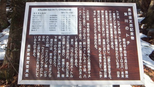 ����Υȥ�����