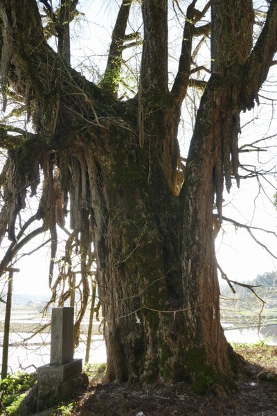 ���縩������ �����������ꥤ���祦9