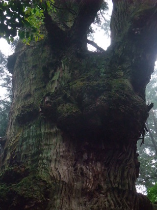 ÂçµÏ¼Ò¤ÎÂç¿ù 6