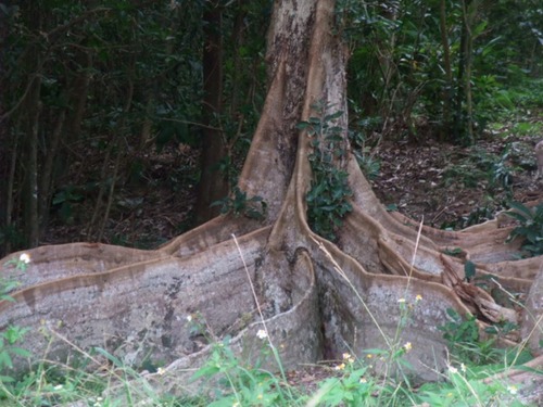 °ÂÇȤΥª¥¥Ê¥ï¥µ¥¥·¥Þ¥¹¥ª¥¦¥Î¥¡¡£µ