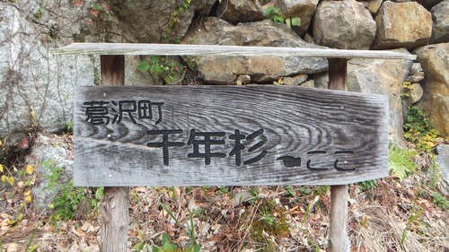 Ʋ���Υ�������ǯ���ˡ�1