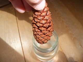 ���ܤä���ޥ��å���