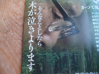 ���˿֤�����