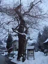 Ȭ���Υ��ɥҥ���