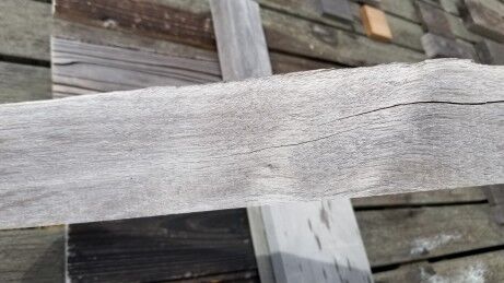 �������죵