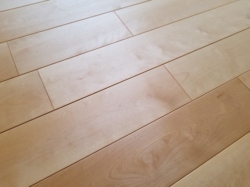 ��������С�������̵���Ĥʤ���V�¥ե�����󥰡��ץ�ߥ�����