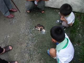 ·Þ¤¨²Ð¡¡£²