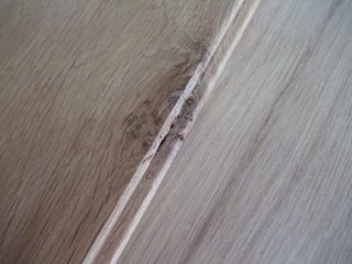 ����������������̵���ե�����󥰡�V���쥯����󥰥졼�ɣ�