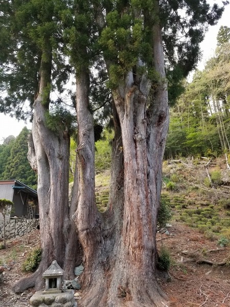 µÈÂô¤ÎÅĹâ¿ù£²