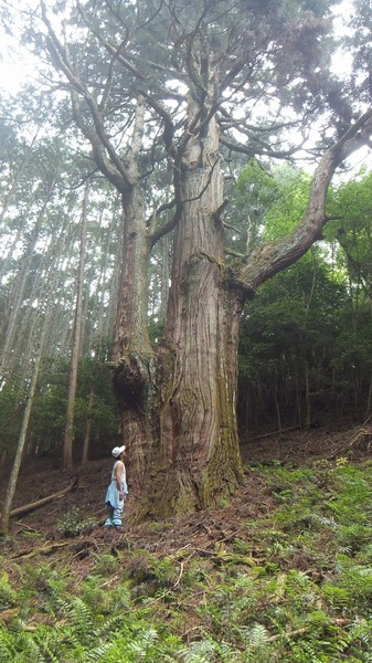 �۶����������ŷ�����