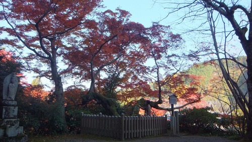 ��̿����ͼ�Ȥ�ߤ���