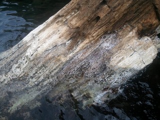 �纬���Ⱥ����η����ڡ�����