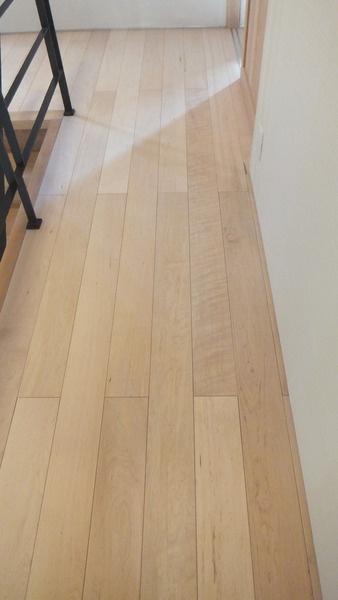 �Ĳ����ʤ����䤫���ǡ�����̵������ʪ���쥯����󥰥졼�ɣ�