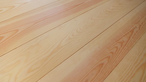 �н��־�����̵������ʪ�ե�����󥰣�