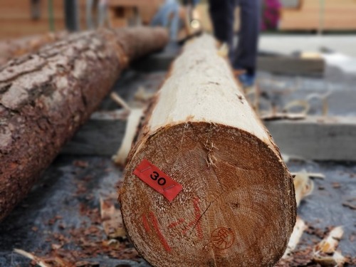 ÈôÂͤδÝÂÀ Èé¤à¤£¶