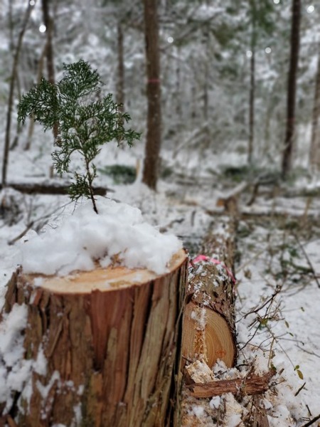 ��׼���־�����Ƥ롢�����͡���������2025-7