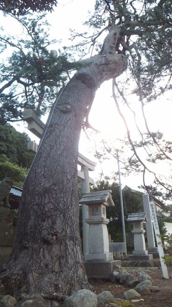 ��ָ����ȿ��Ҥξ���