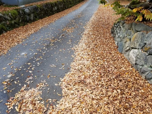 ��ë���޿��ҤΥ��䥭��