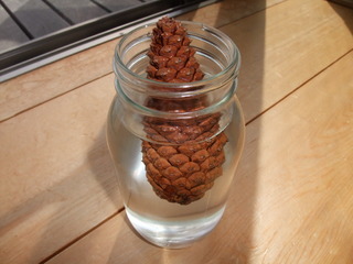 ���ܤä���ޥ��å���