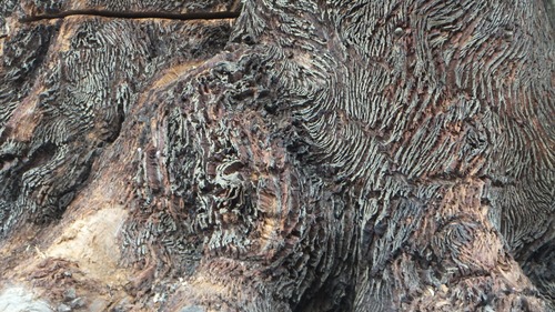 ��������������