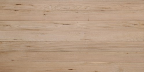 ����̵����������ʪ�ե�����󥰡���ͭ