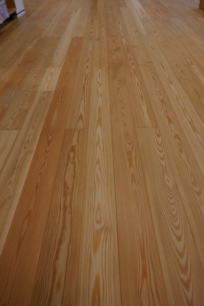 ԥ奢顼̵ʪե󥰡ץߥ졼 룲