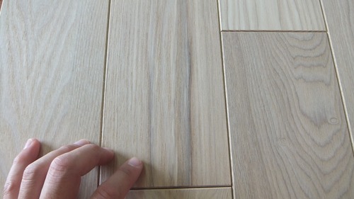 À¶Î俤â¡Ê¤»¤¤¤ê¤ç¤¦¤¿¤â¡ËÉý¹Ìµ¹¤°ìËçʪ¥Õ¥í¡¼¥ê¥ó¥°£¶