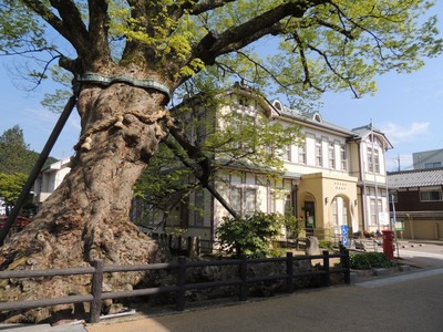 �𸶤Ρʤ����Ф�ˤ���ǯݰ����