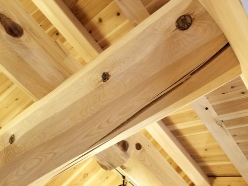 ���ܤ��־����´�������