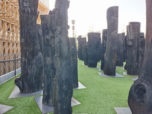 ���������