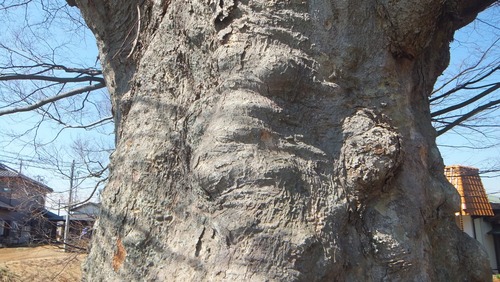 ��ð�Υ��䥭��