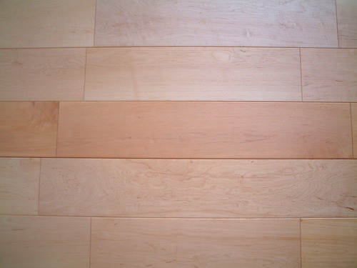 �Ĳ���������ˡ��Ѥ���V�²ù�����