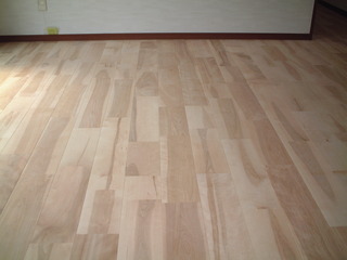 �С�����������ˡ�N����