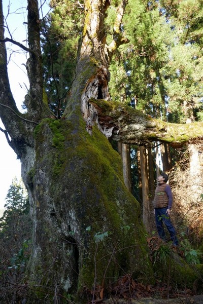 ���Ĥλҥȥ��Υ�����