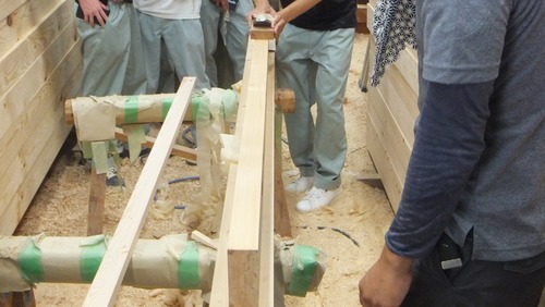 ��带��������