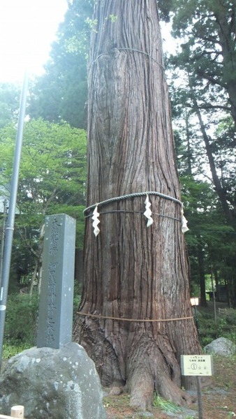 �ϸ����ֿ��Ҥμ��ܿ�����