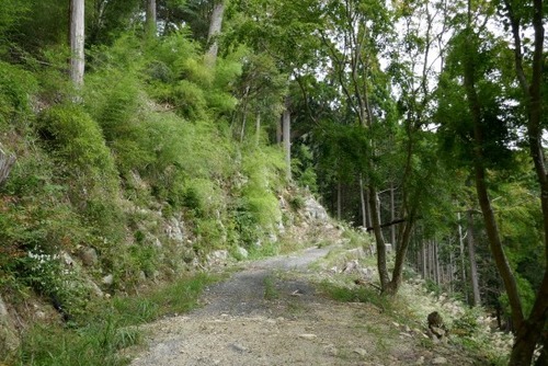 �绳�򻳿��Ҥν��׿��ʤᤪ�Ȥ����ˣ�_ks