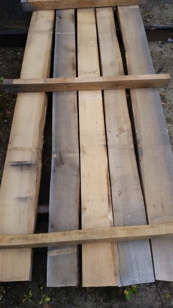 ���ܤ���ʤʤ�˴���̵���ࡡ��