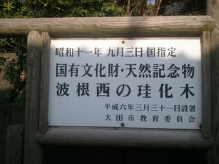 �纬���Ⱥ����η����ڡ���