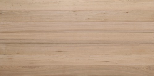 ����̵����������ʪ�ե�����󥰡�����