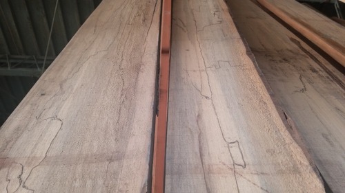 ���Υ��ݥ�ȡ���