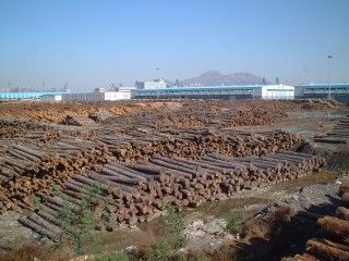 �ԥ奢�顼���ե�����󥰡���