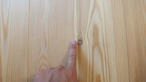 N��š�ԥ奢�顼���ե�����󥰻ܹ��̿�����