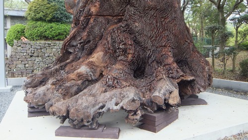 ��������������