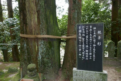 ͡�ᱩ���Ҥοƻҿ��ȥ������������