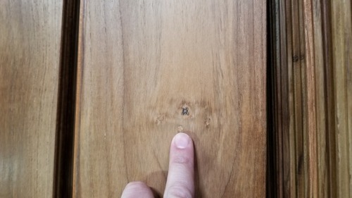 �ͥ��������������̵��UNI�ե������ ����