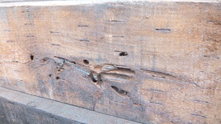 �������ڡ���